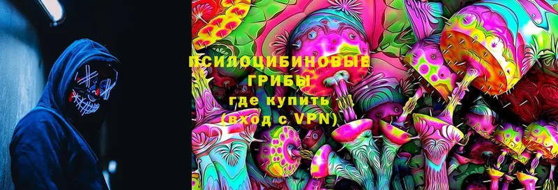 Псилоцибиновые грибы Magic Shrooms  hydra   маркетплейс состав  Орлов 